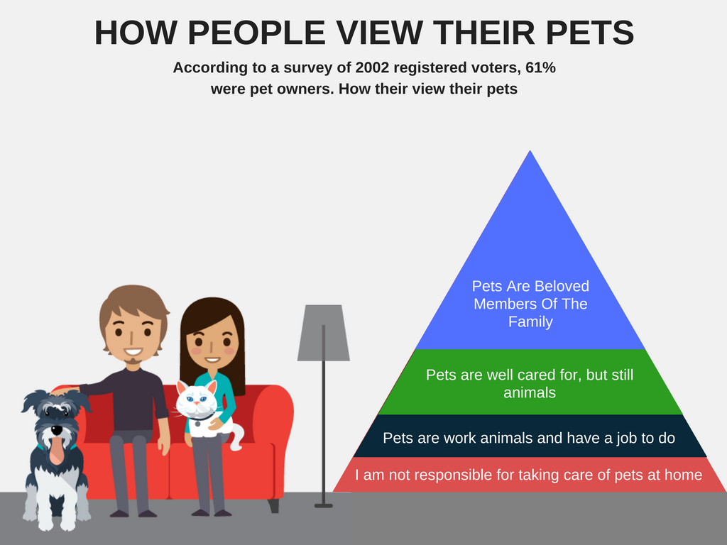 HOW PEOPLE VIEW THEIR PETS