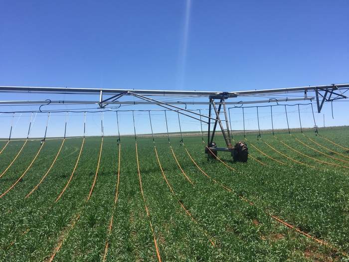 Automated Irrigation