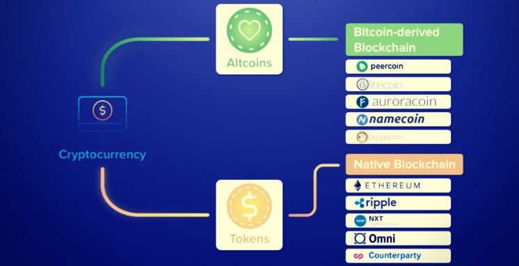 Coin VS Tokens